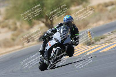 media/May-14-2023-SoCal Trackdays (Sun) [[024eb53b40]]/Turn 5 Tree of Life (1125am)/